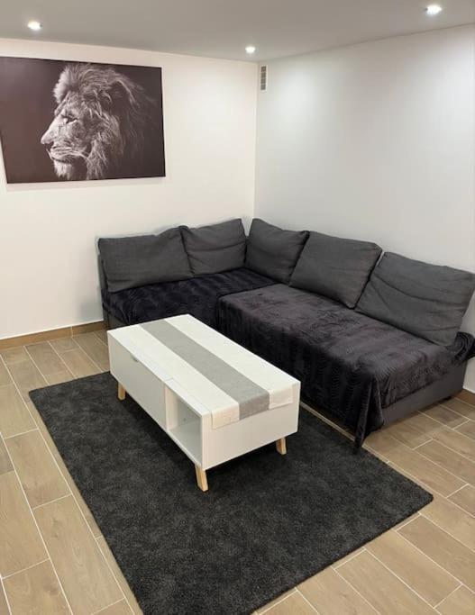 Logement Neuf A 25Mn Disneyland Et Paris Est Thorigny-sur-Marne ภายนอก รูปภาพ